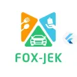 Flutter Fox-Jek user